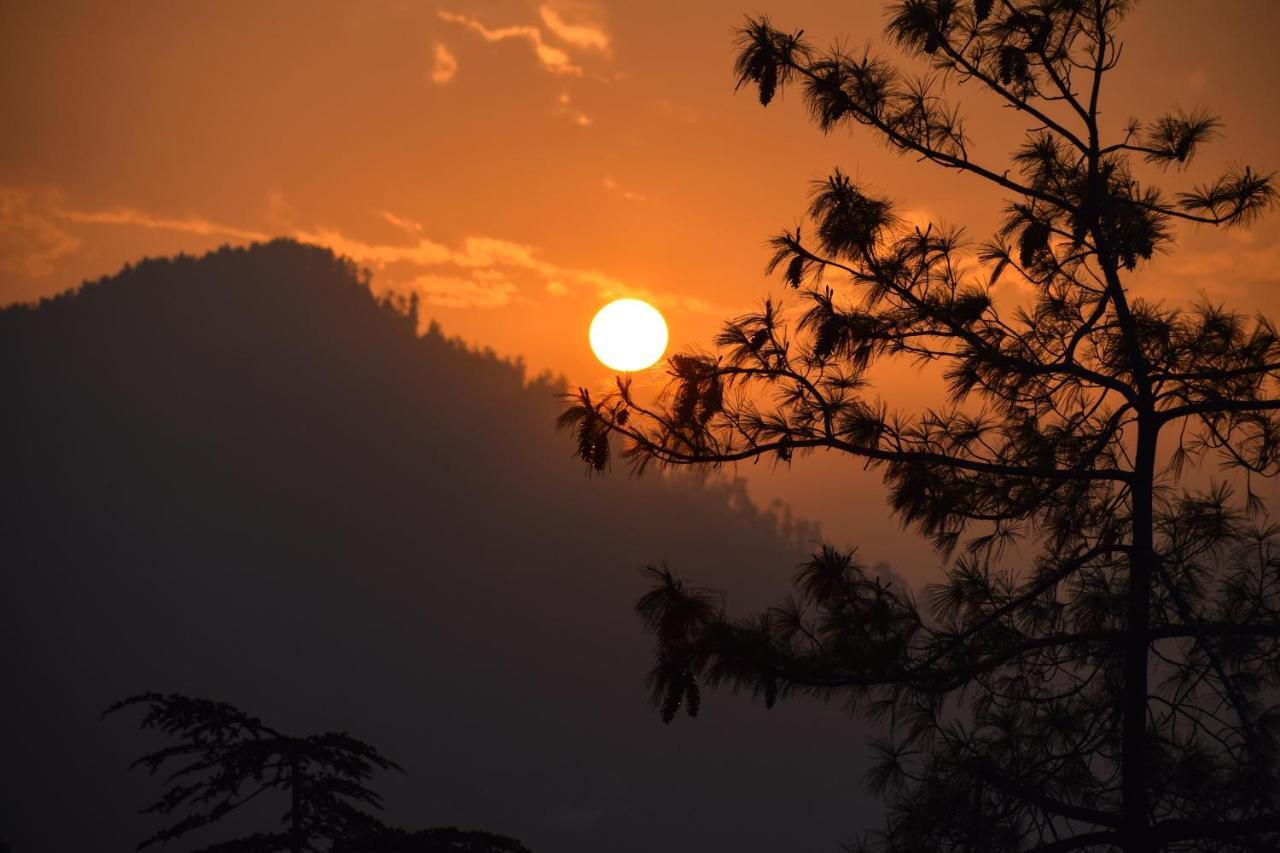 Aachman Nature Valley Resort, Mashobra Simlá Kültér fotó